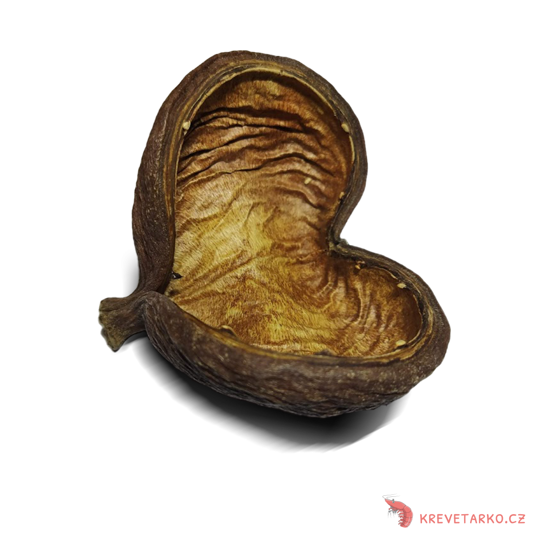 Badamský ořech - Badam nut