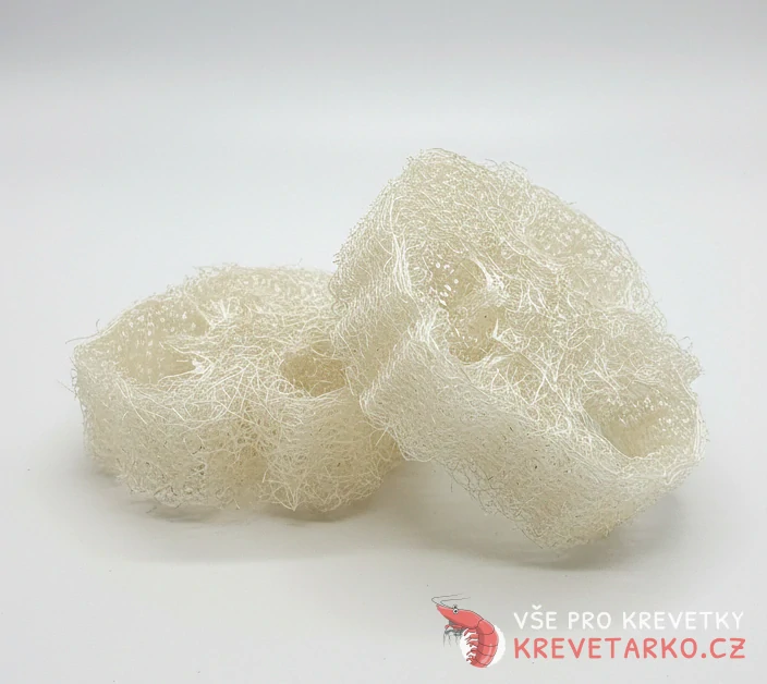 Luffa