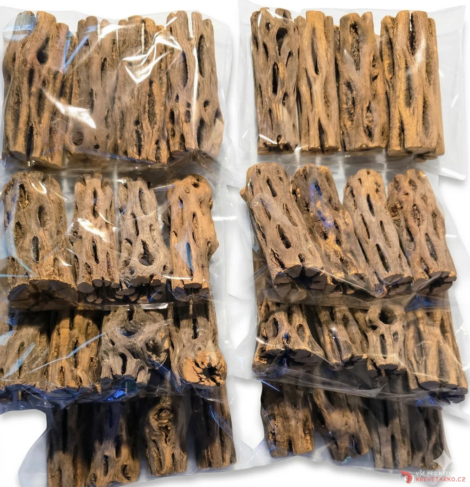 Cholla wood 7,5cm 3+1 zdarma