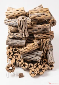 Cholla wood  7,5 cm 
