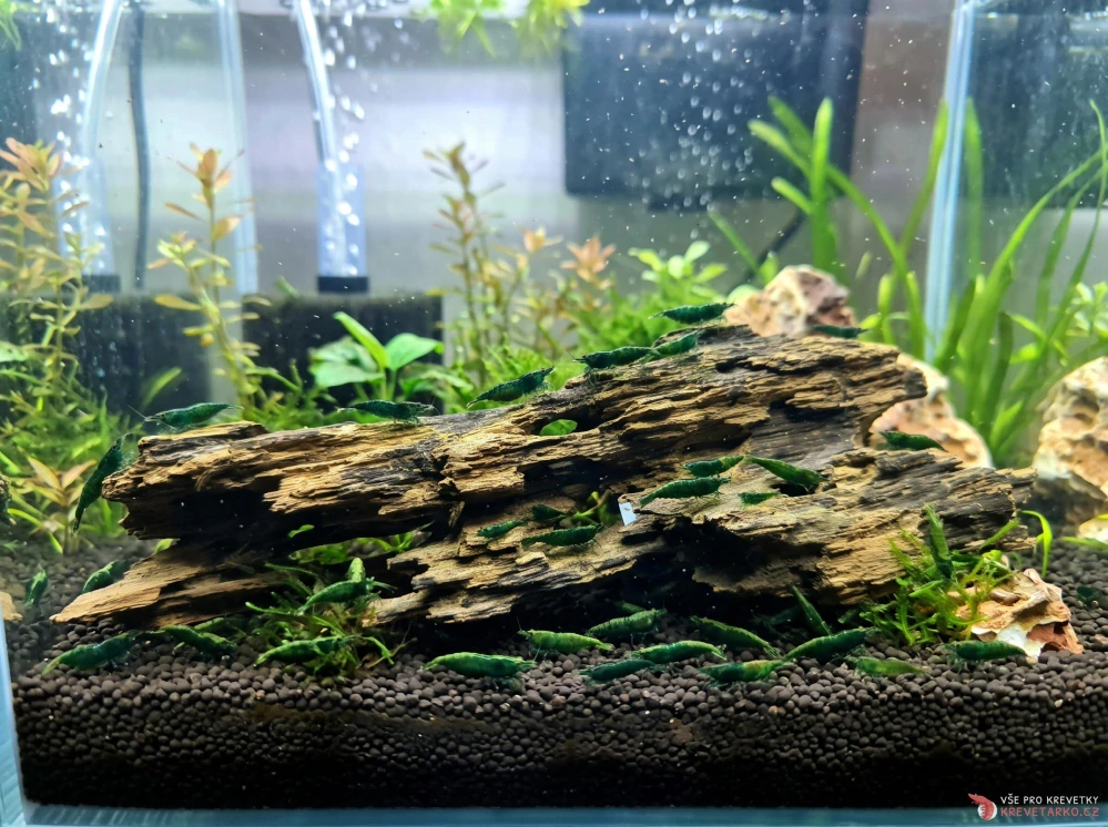 Honeycomb Wood 20-30cm