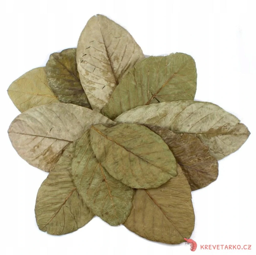 Tantora Guava Leaves 10ks