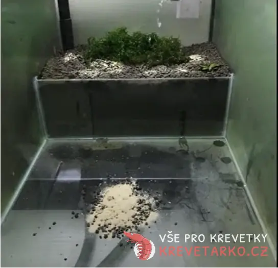 DSP - Death Shrimp Powder