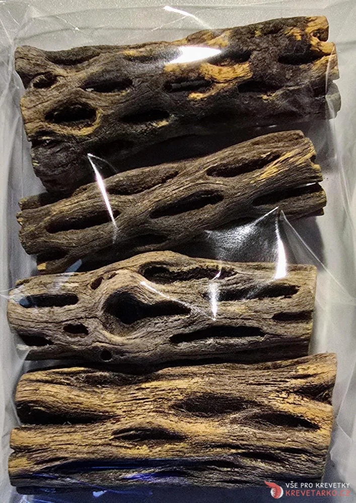 Cholla wood 7,5cm 3+1 zdarma