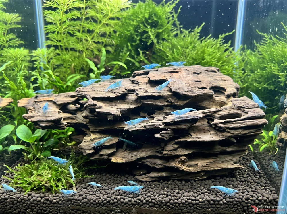 Honeycomb Wood 20-30cm