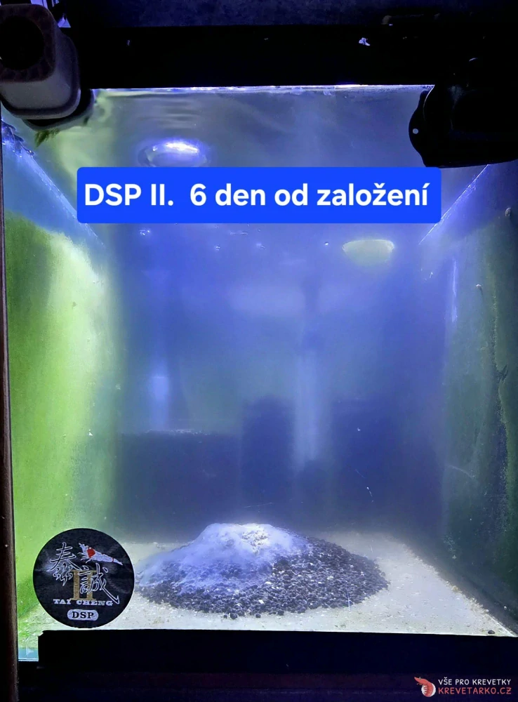 DSP II - Death Shrimp Powder