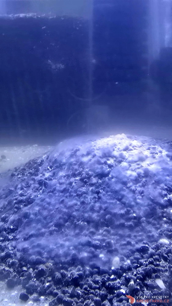 DSP II - Death Shrimp Powder